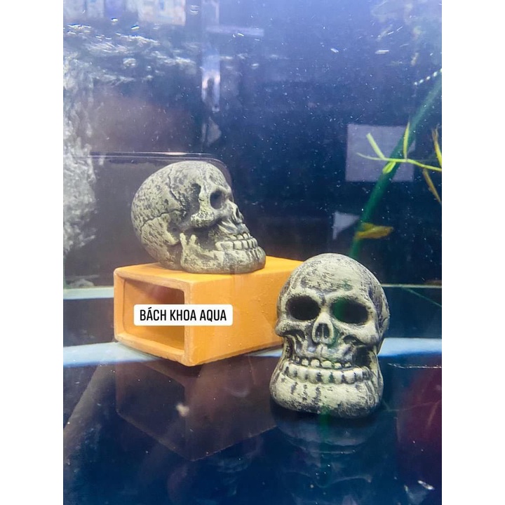 Đầu lâu gốm trang trí bể cá