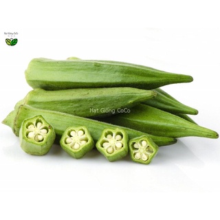 Hạt Giống Đậu Bắp Xanh Gói 20Gr, Nảy Mầm Tốt, Cây Khỏe, Nhiều Trái