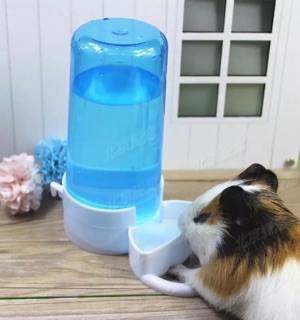 Bình đựng thức ăn tự động