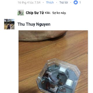 bẫy bắt gián