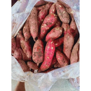 200g khoai lang bổ sung vitamin cho ốc
