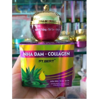 Kem nha đam collagen