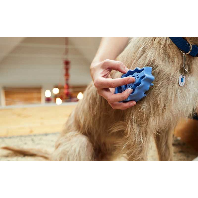 Bàn Chải Lông Cho Cún Kong ZoomGroom Size To 2 Màu Xanh Hồng