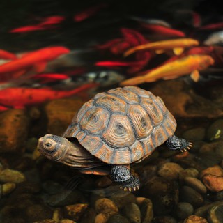 Mô Hình Chú Rùa Trang Trí Sân Vườn Độc Đáo