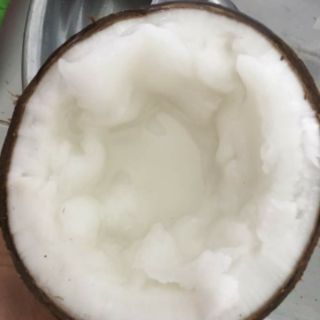 Dừa sáp Trà Vinh