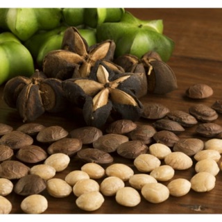 1kg Hạt Sachi rang chín - hạt Sachi loại 1