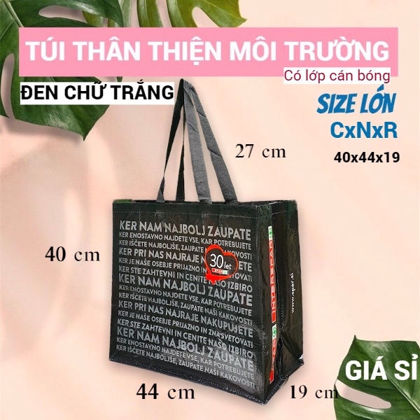 CÁN BÓNG - TÚI SIÊU THỊ, THÂN THIỆN MÔI TRƯỜNG, ECO SHOPPING BAG, ĐI CHỢ, ĐỰNG ĐỒ NẶNG, SIZE LỚN, HAI QUAI XÁCH