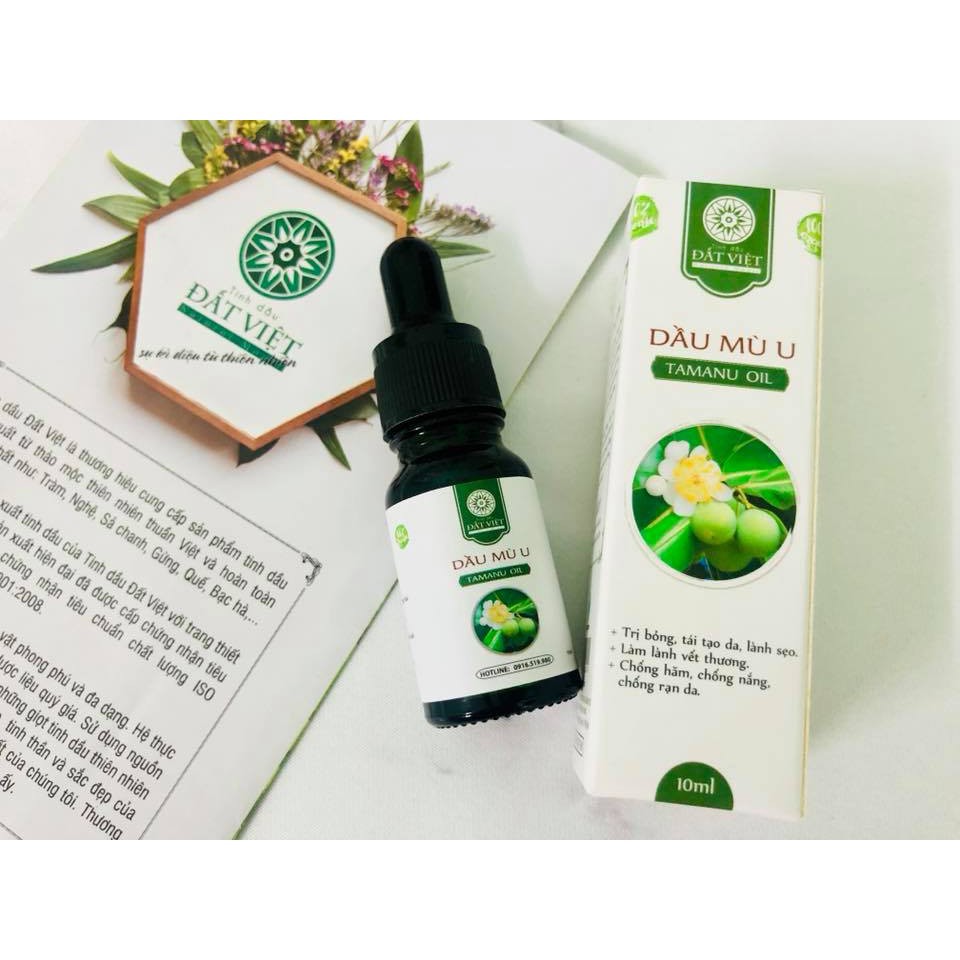 Dầu Mù U Đất Việt (10ml - 30ml) - Lành Sẹo An Toàn (nguyên chất 100%)