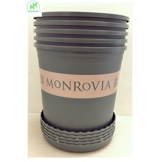 5 bộ chậu nhựa trồng hoa cây cảnh monrovia cn 2gal