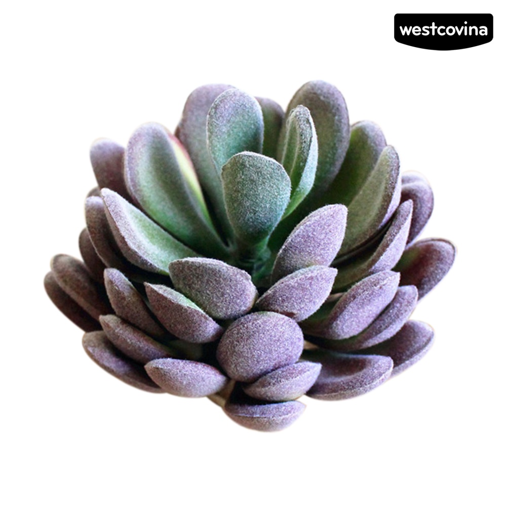 Cây sen đá giả trang trí nhà ở quán cà phê