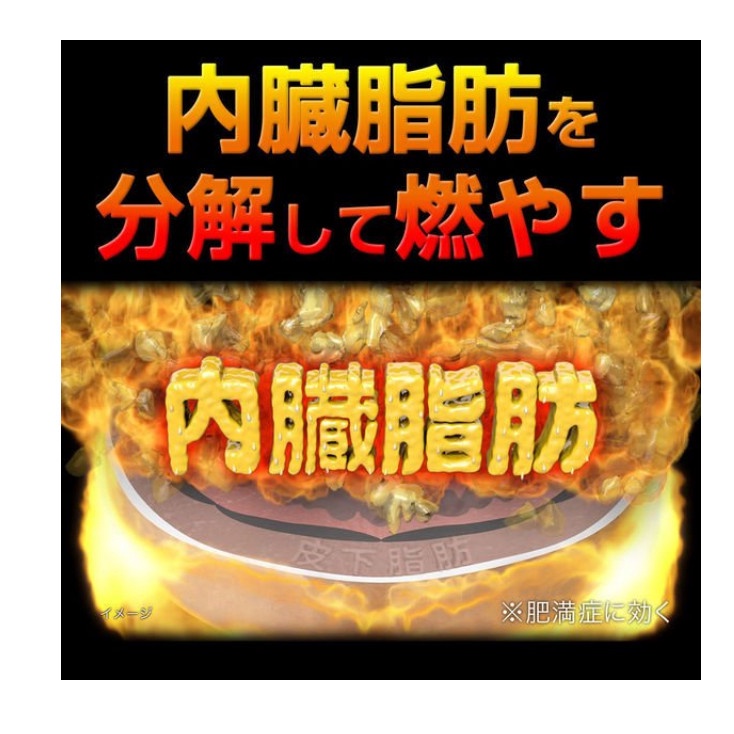 VIÊN UỐNG GIẢM MỠ BỤNG KOBAYASHI NISITOL Z