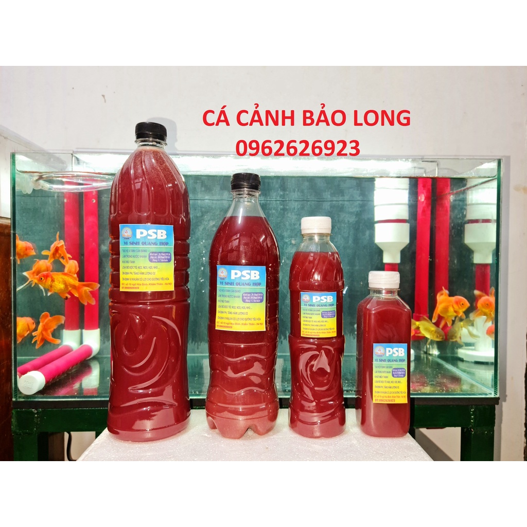 Vi Sinh Tươi PSB chai 1000ml, Vi sinh làm trong nước Hồ Koi, Bể Kính, Bể Thủy Sinh giúp nước trong, sạch, cá khoe mạnh