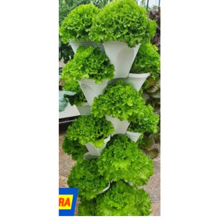 Tháp trồng cây trồng rau hữu cơ 5 tầng