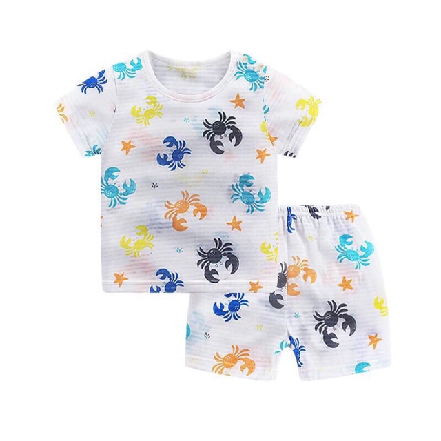 cotton tre xuất hàn