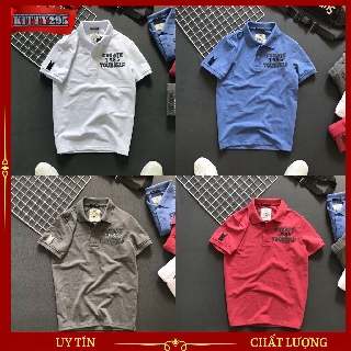 Áo thun nam có cổ 295-at19 chất vải thun cá sâu thêu năm 1985 cực chất - 4 màu _kitty295