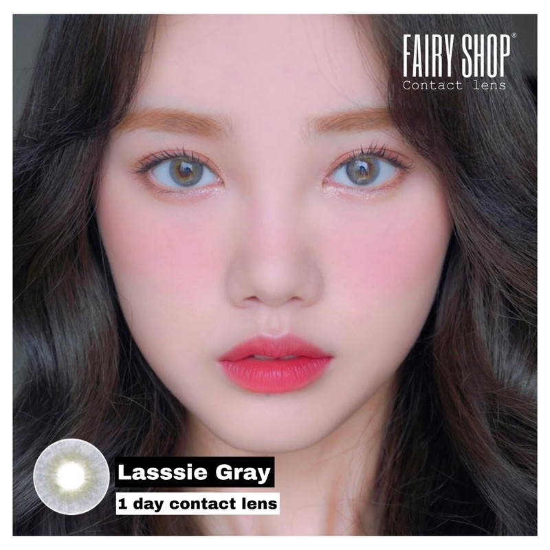 Lens 1 Ngày Lassie gray - Kính Áp Tròng Cao Cấp 1 Ngày FAIRY SHOP CONTACT LENS