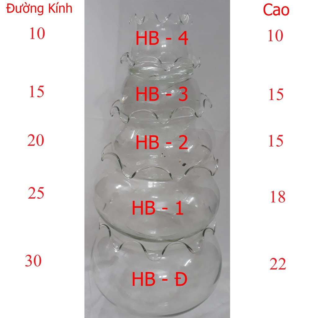 Bể Cá Mini, Hồ Cá Để Bàn - Chậu Cá Thủy Tinh HB-4 10x10x10