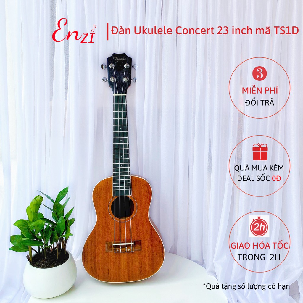 Đàn ukulele concert TS1D Enzi 23 inch gỗ mộc trơn khóa đúc giá rẻ cho bạn mới bắt đầu tập chơi