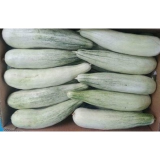 Hạt giống dưa chuối thơm