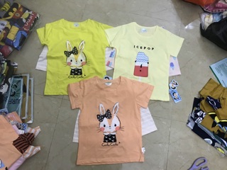 Combo bộ cotton quảng châu