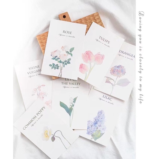 Postcard hoạ tiết hoa lá đa dạng trang trí hộp bánh thêm xinh xắn