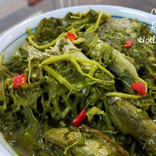 ĐẶC SẢN RAU SẮN MUỐI CHUA (1KG)