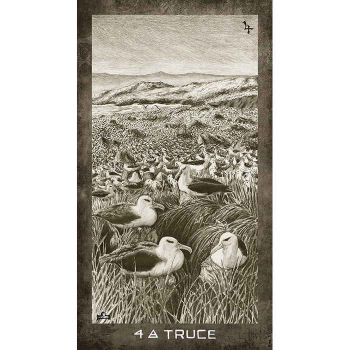 Bộ Bài New Era Elements Tarot (Mystic House Tarot Shop) - Bài Gốc Authentic Chính Hãng 100%