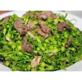 Phi le Nai