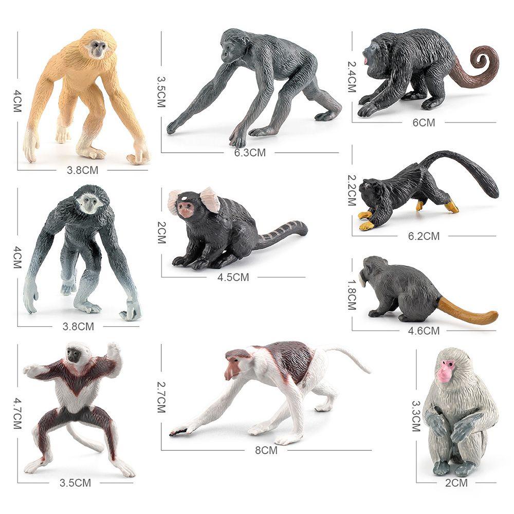 Bộ 10 Đồ trang trí Khỉ Gibbon Marmoset Bonobo Sống Động Như Thật