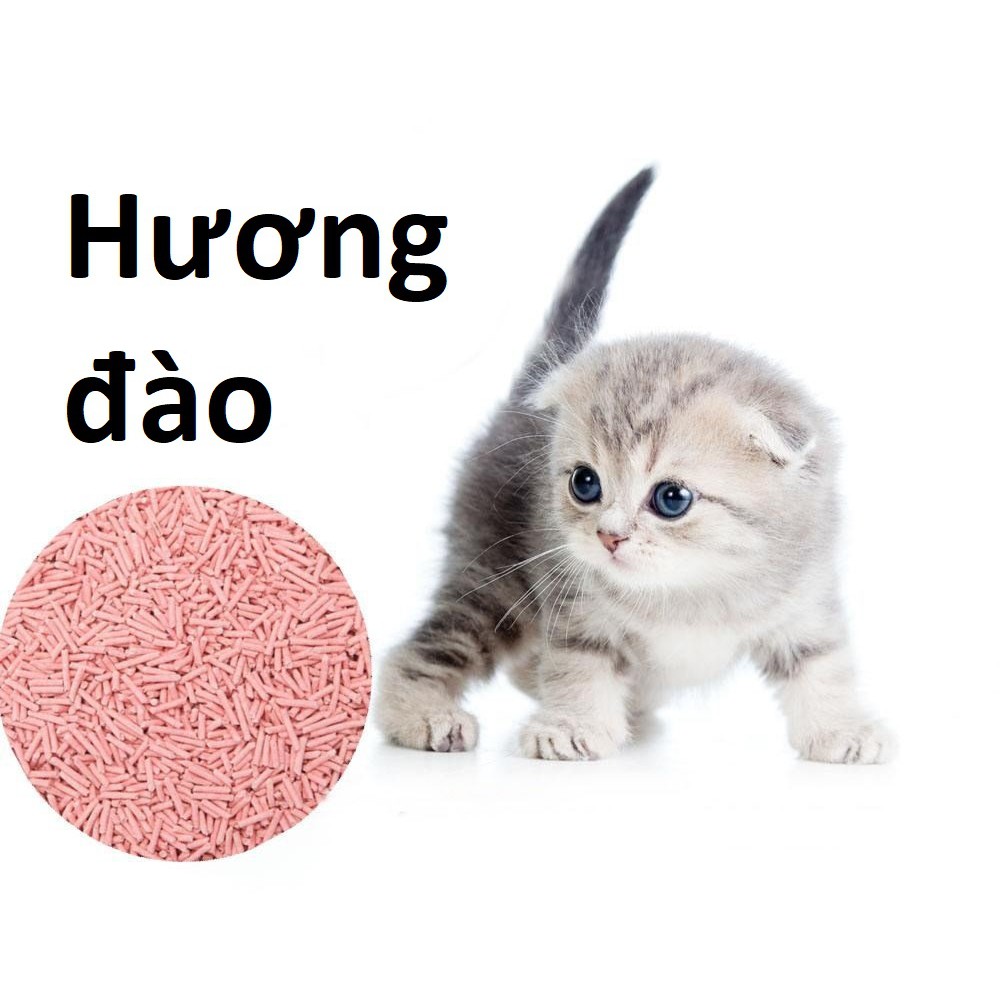 Cát đậu phụ TFOR Tofu Cát vệ sinh cho mèo làm từ bã đậu nành Hữu cơ hòa tan trong bồn cầu và mèo ăn không sao