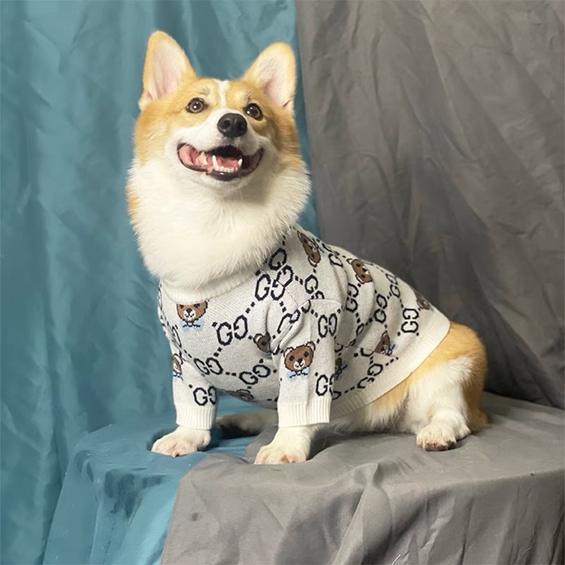ÁO LEN GUCCl GẤU dành cho chó mèo