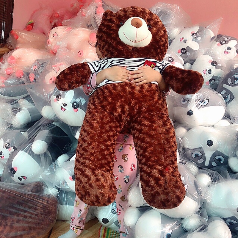 Gấu Bông Teddy, Thú Nhồi Bông Siêu To Mặc Áo Cao Cấp Chất Liệu Lông Xù Big Size