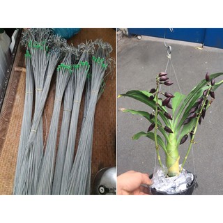 5 Móc Kẽm Treo Chậu Dài 70cm