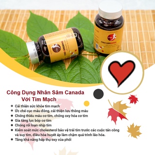 Viên nang Nhân sâm Canada CND GINSENG GOLD (Hộp 60 viên)
