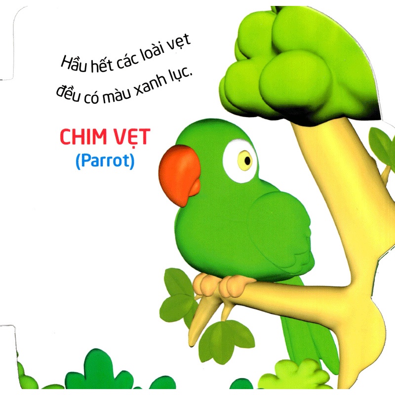 Sách: Thế Giới Trong Mắt Em - Chim - TSMN