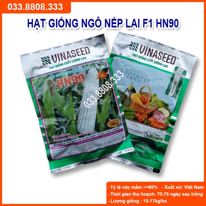 Hạt Giống Ngô Nếp Lai HN90 Đều Dẹp Thơm Tròn Hạt ( gói 100gram )