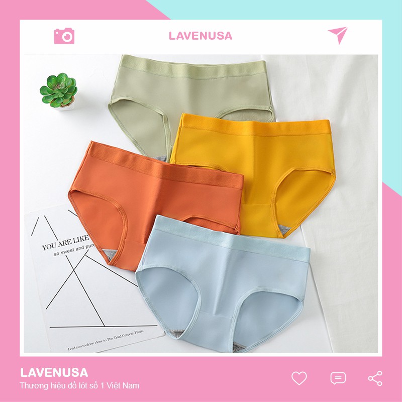 Quần Lót Nữ Cotton kháng khuẩn mềm mại viền chun nữ tính QL96