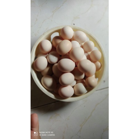 [Q. BÌNH TÂN] TRỨNG GÀ TA 10 QUẢ - NOWSHIP | BigBuy360 - bigbuy360.vn