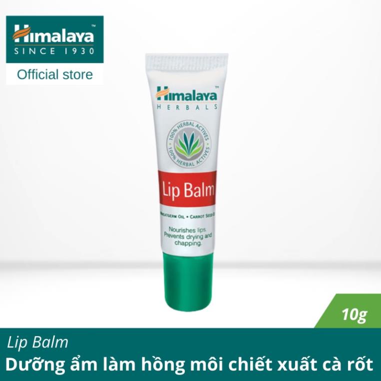 Son dưỡng hồng môi chiết xuất cà rốt Himalaya Lip Balm 10g 