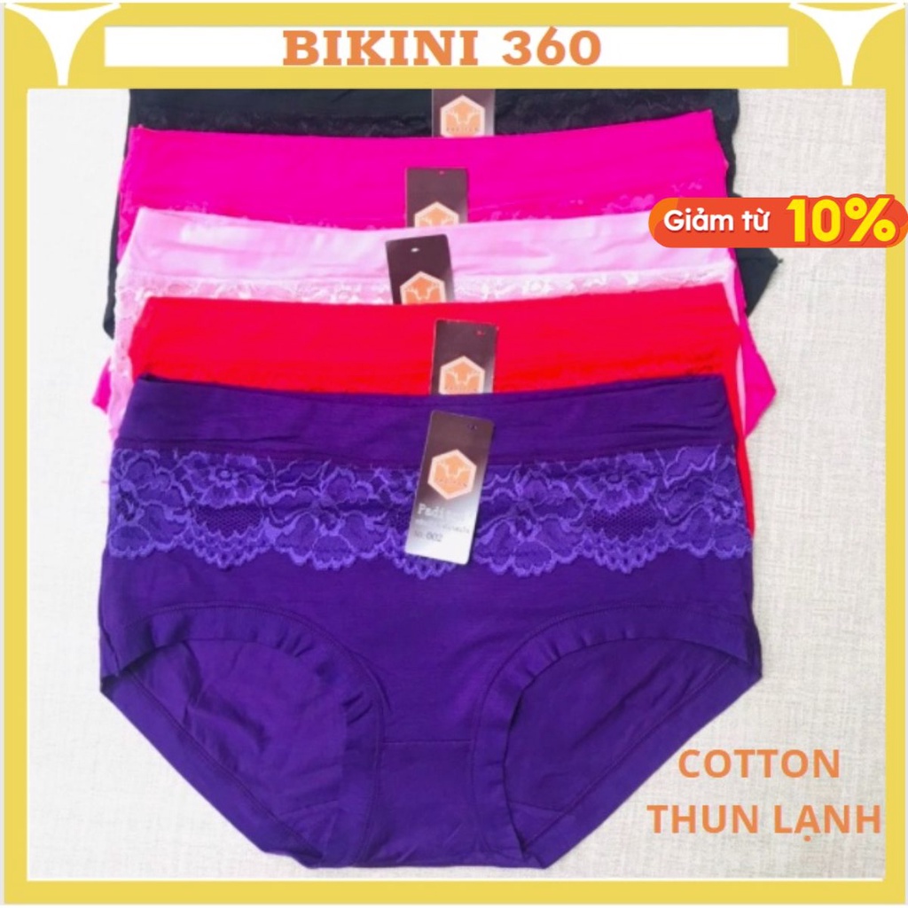 Quần lót nữ cotton thun lạnh cạp cao ren from to bigsize 3XL chất đẹp cho người 60kg 70kg 80kg Q002; bikini