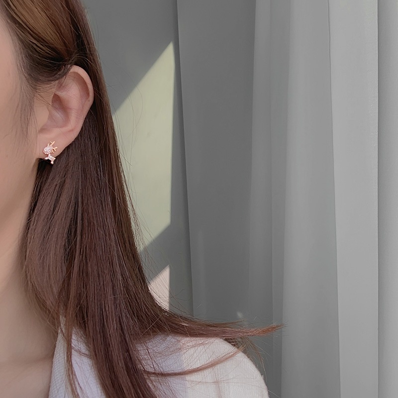 Hoa tai tinh tế Hoa tai đính kim cương dễ thương Hoa tai đính kim cương kiểu Hàn Quốc đơn giản