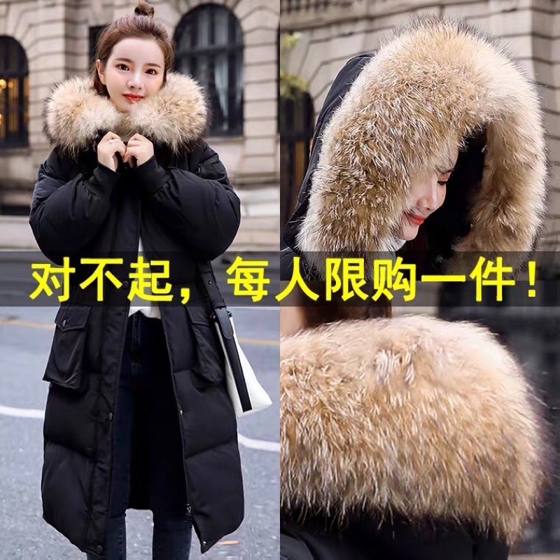 Áo phao đại hàn mũ lông cực ấm hàng QCCC