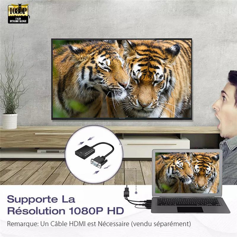 Cáp Chuyển Đổi Từ Cổng Vga Sang Hdmi 1080p Hd Với Audio Vga2Hdmi Tv Av Sang Hdtv