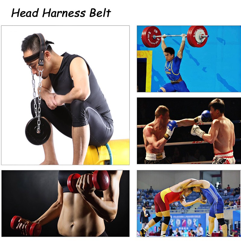 Đai Xích Treo Tạ Tập Cơ Cổ Head Harness Dùng Trong Thể Thao, Boxing