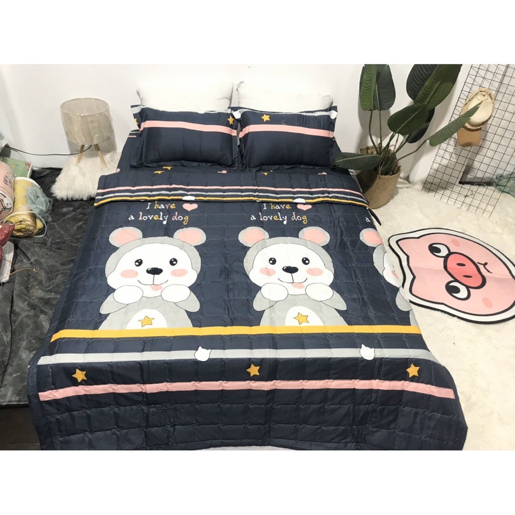 Chăn Hè Thu Cotton Poly Trần Bông 3 Lớp