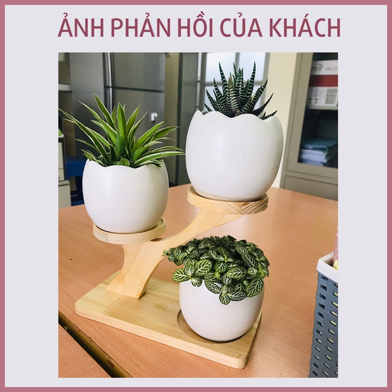 Kệ Gỗ Trang Trí Decor Xinh, Kệ Để Bàn Đặt Chậu Sứ MINI Xương Rồng, Sen Đá, Để Chai Lọ