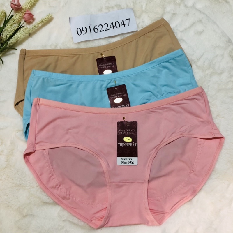 Set 5 Quần lót nữ Thịnh Phát thun lạnh nâng mông, quần chíp nữ size lớn