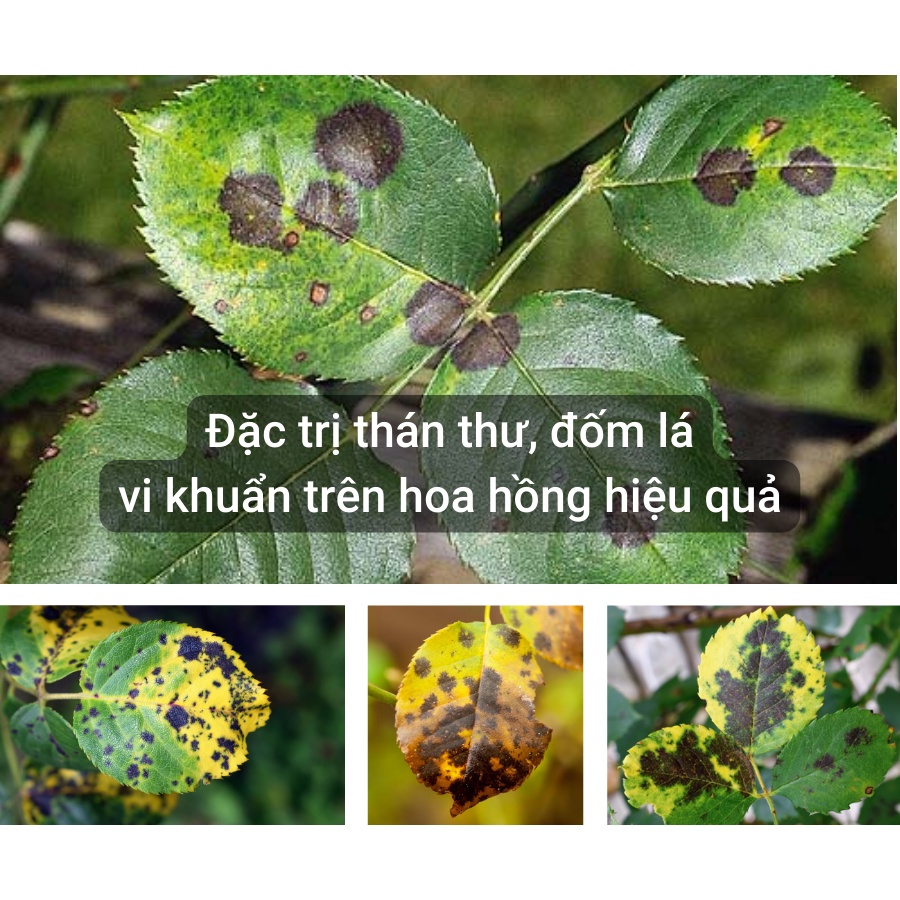 Dung dịch nano bạc diệt khuẩn Unitech  - Nguyên chất nồng độ 1000 ppm