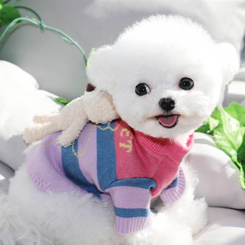 Áo len thu đông phong cách xinh xắn dành cho thú cưng