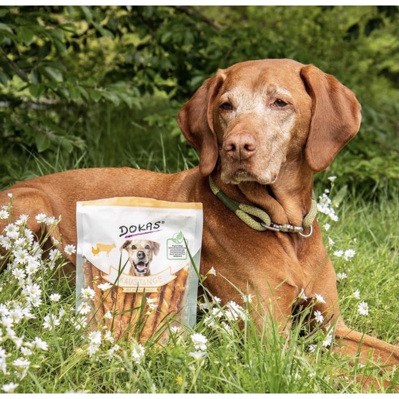 Dokas Treat Thanh gặm nhai da bò cuộn thịt Gà , Vịt , Cá từ thiên nhiên cho chó 200GR- Đồ ăn thưởng cho cún